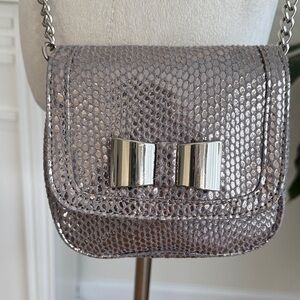 Elle Shimmering Silver Mini Bag with Chain